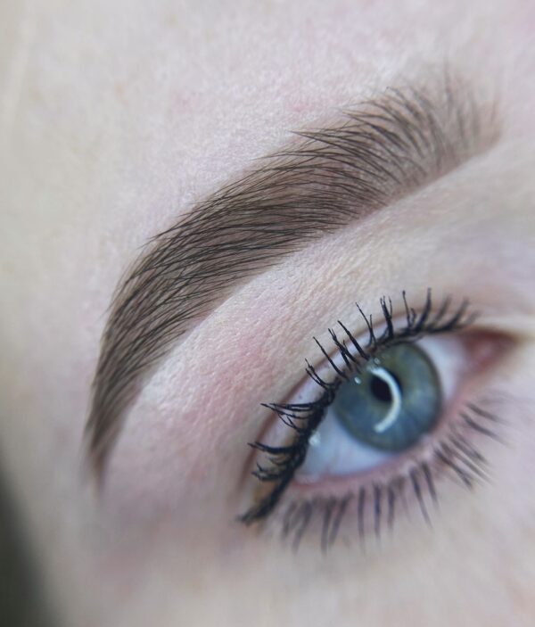 WhatsApp Image 2024-02-22 at 12.42.30