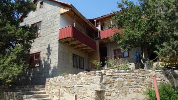 golitsyna_12_2_noviy_svet-_4_