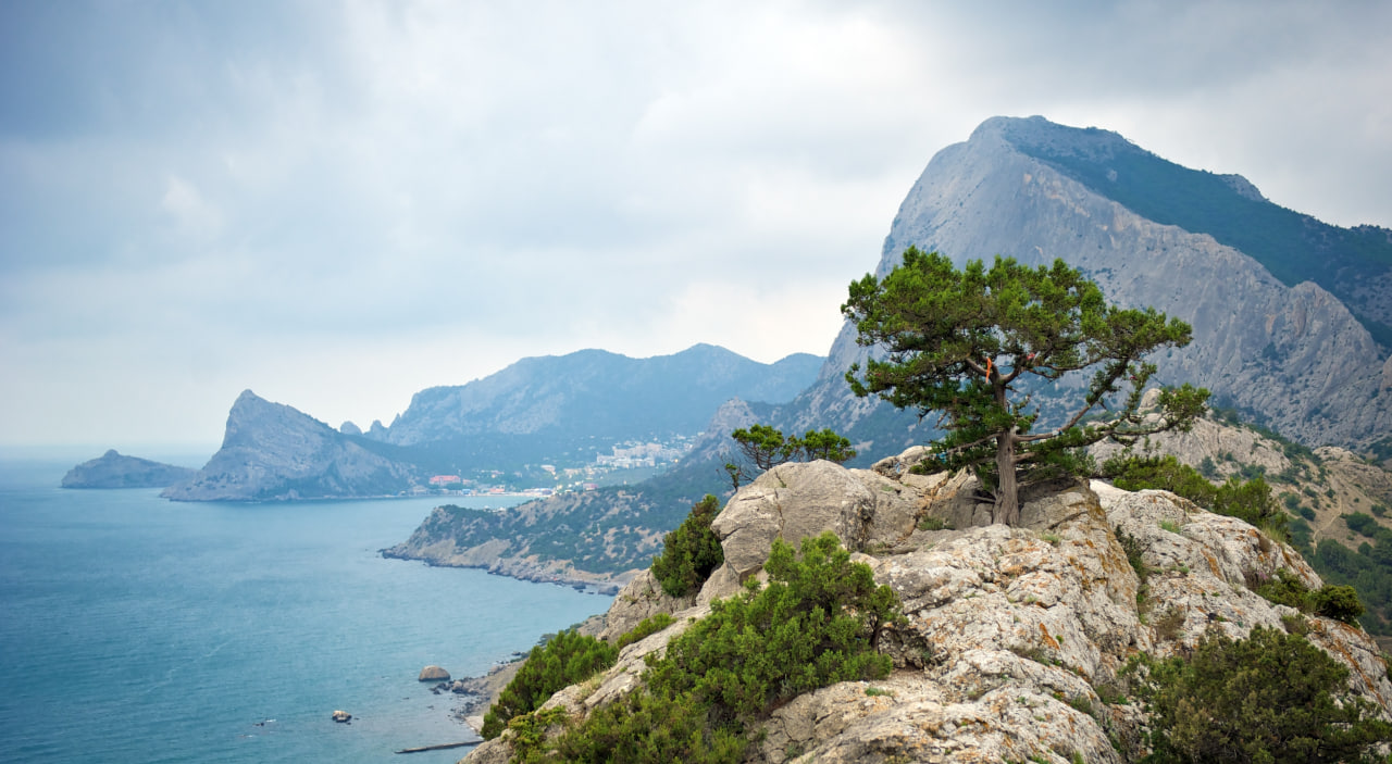 shutterstock_2308217691