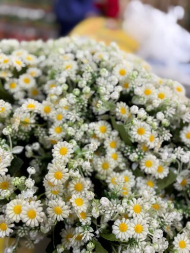 photo 2026-03-12 17-37-51