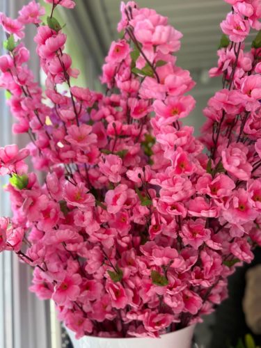 photo 2026-03-12 17-37-56