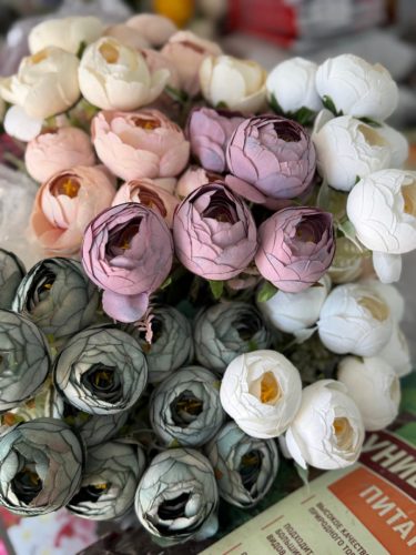 photo 2026-03-12 17-38-00