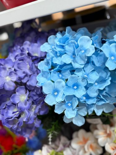 photo 2026-03-12 17-38-03