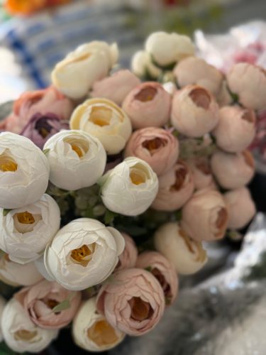 photo 2026-03-12 17-38-11