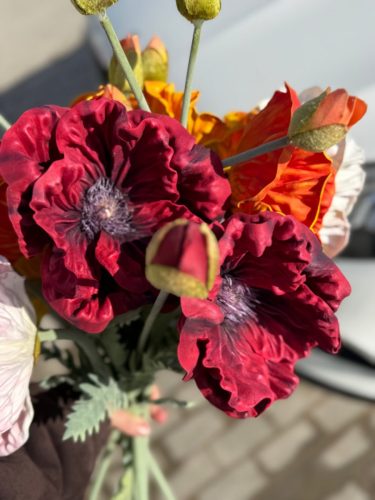 photo 2026-03-12 17-38-18