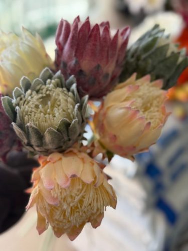 photo 2026-03-12 17-38-21