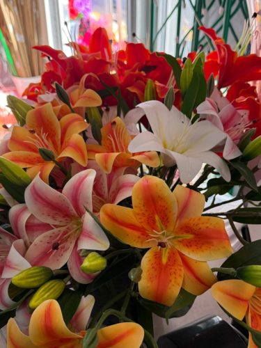 photo 2026-03-12 17-38-25