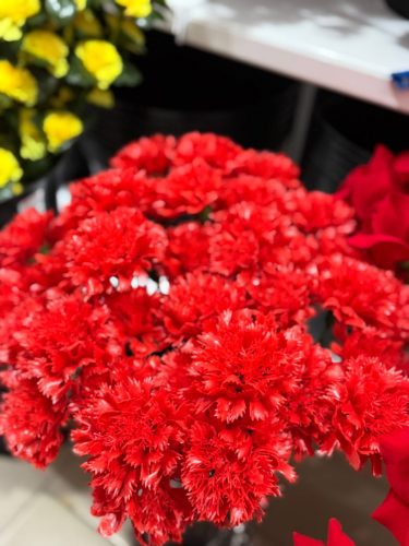 photo 2026-03-12 17-38-29