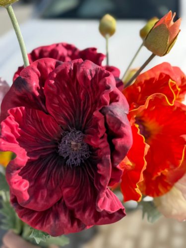 photo 2026-03-12 17-38-33