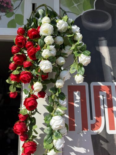 photo 2026-03-12 17-38-38