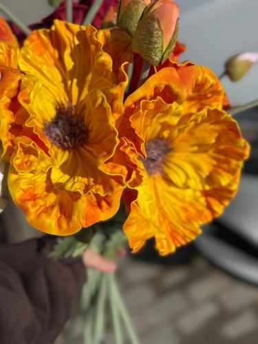 photo 2026-03-12 17-38-43