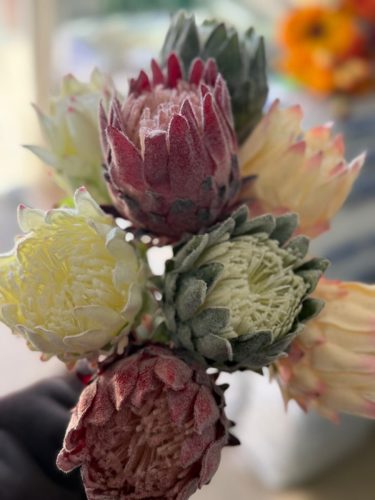 photo 2026-03-12 17-38-45