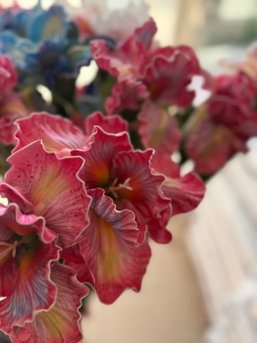 photo 2026-03-12 17-38-49