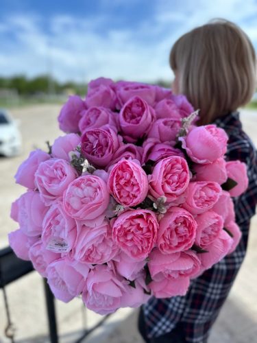 photo 2026-03-12 17-38-53