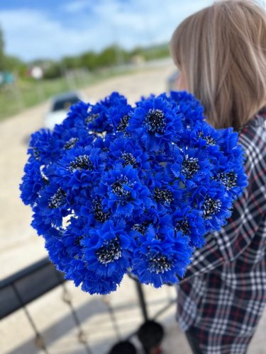 photo 2026-03-12 17-38-58