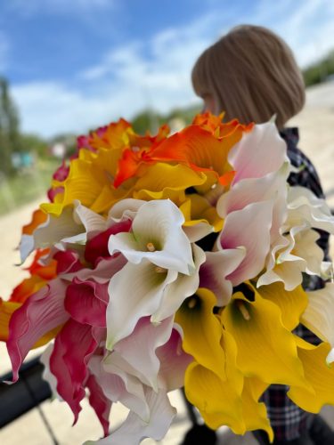 photo 2026-03-12 17-39-00