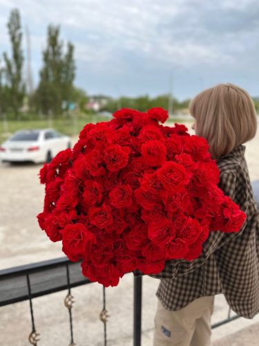 photo 2026-03-12 17-39-10