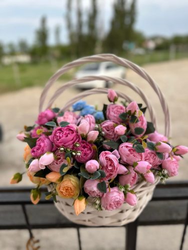 photo 2026-03-12 17-39-12