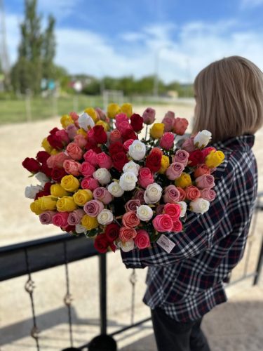 photo 2026-03-12 17-39-16