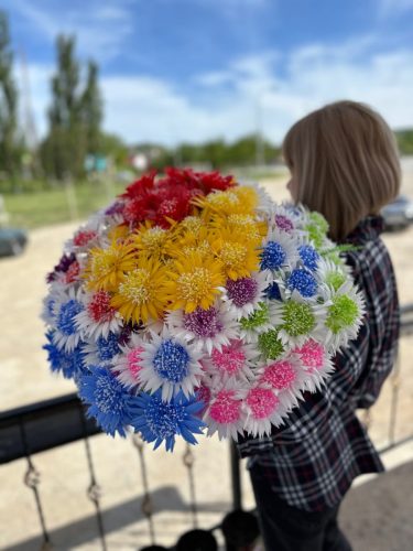 photo 2026-03-12 17-39-21