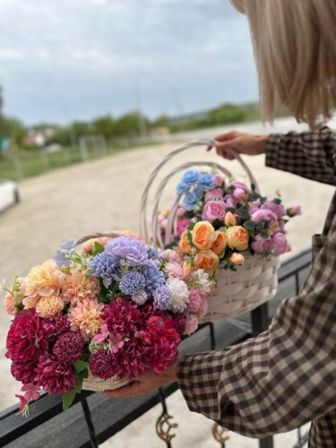 photo 2026-03-12 17-39-28