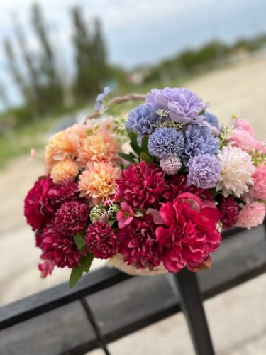 photo 2026-03-12 17-39-31