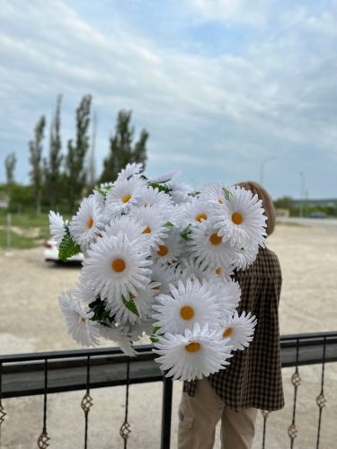 photo 2026-03-12 17-39-34