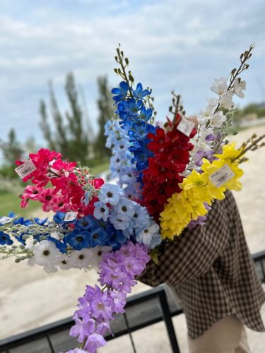 photo 2026-03-12 17-39-38