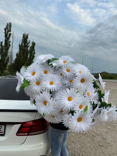 photo 2026-03-12 17-39-48