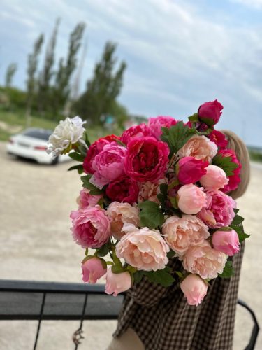 photo 2026-03-12 17-39-51